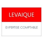 LEC Logo 2020_v3 - Vincent Levaique