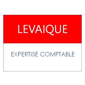 LEC Logo 2020_v3 - Vincent Levaique